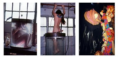 186_Sheree_Rose_Triptych_01