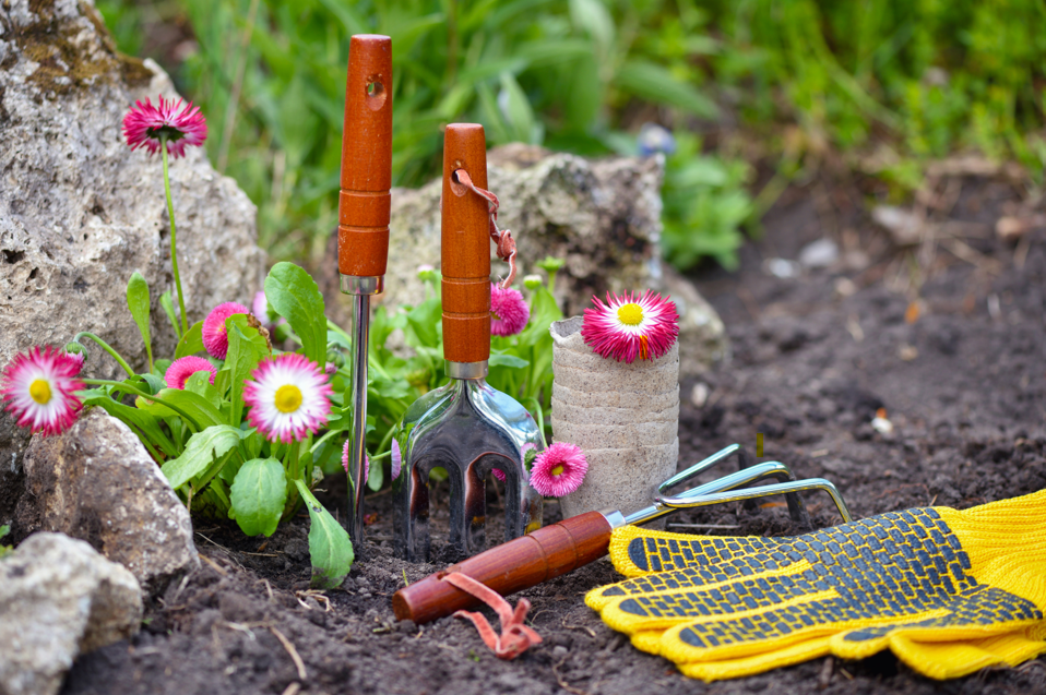 Articoli per giardinaggio: tutto il necessario per il tuo giardino