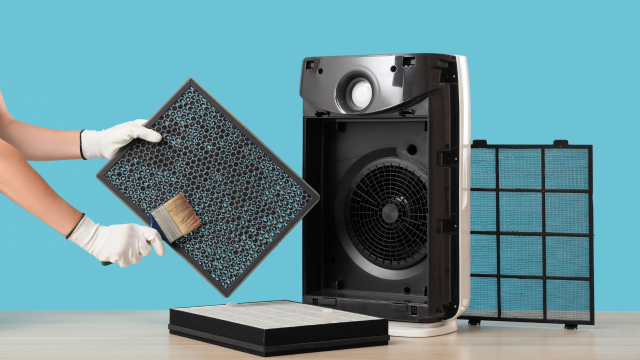 Manutenzione e pulizia del filtro del purificatore d'aria
