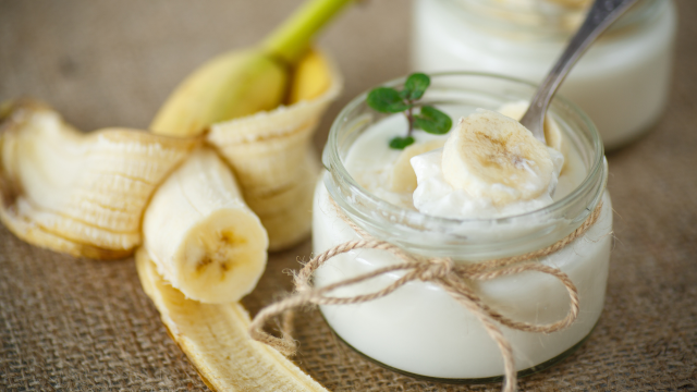 Macchine per lo yogurt: quali sono le migliori e come sceglierle?