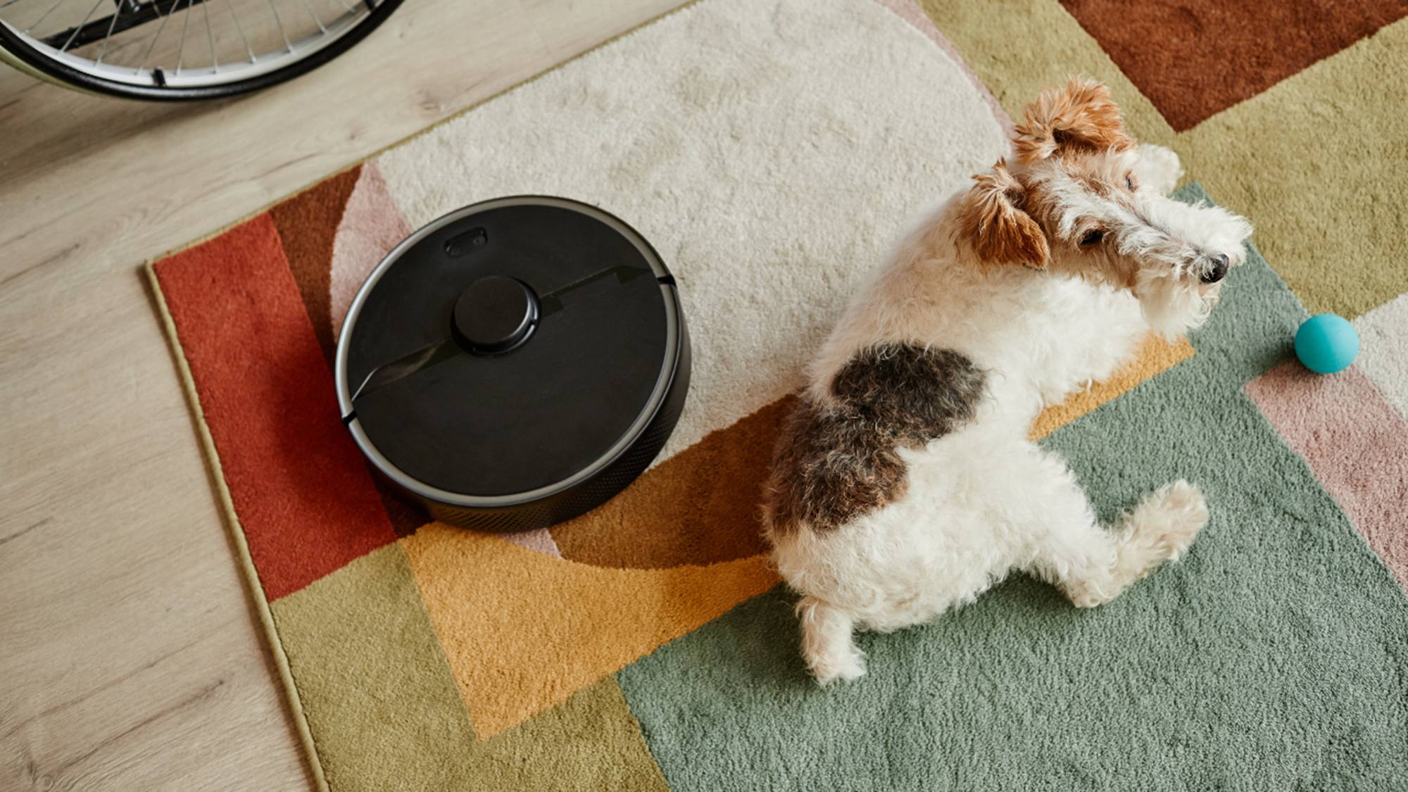 I migliori robot aspirapolvere per peli di animali