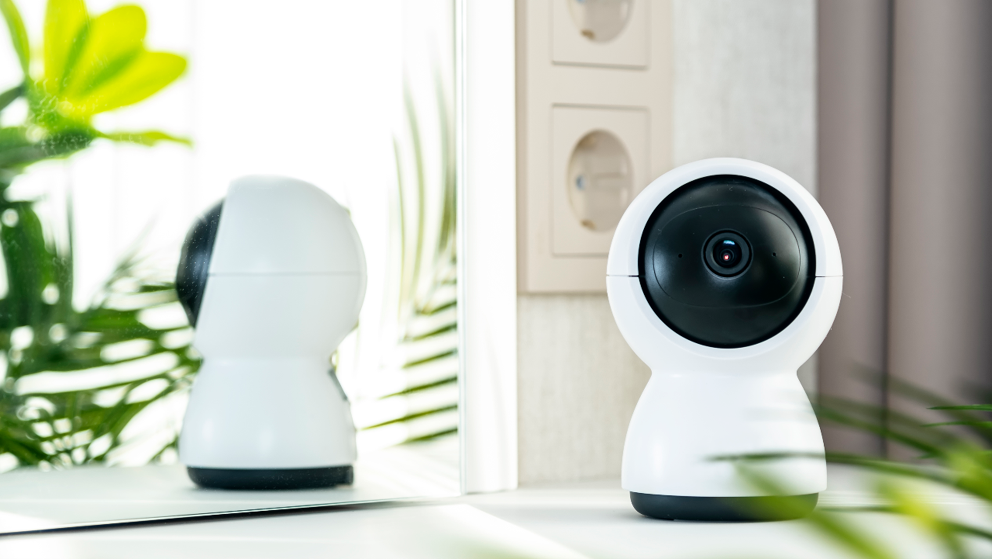 Telecamere IP: quali sono le migliori e come sceglierle