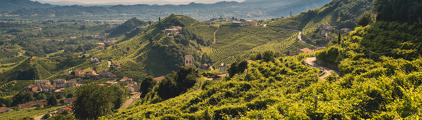 Copia-di-DSC04853-(1)